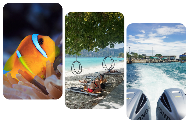Collage: clownfish, coastal hammock, boat on water with city view.