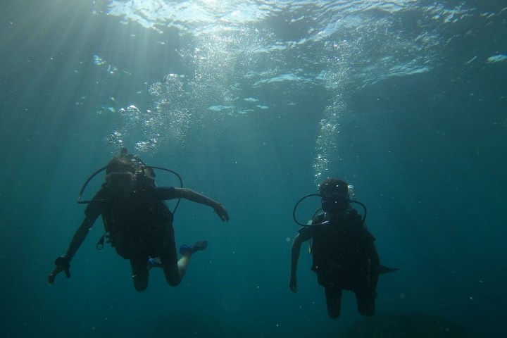 Two scuba divers underwater with sunlight streaming from above.