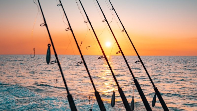 Five fishing rods over ocean waves with a sunset in the background.