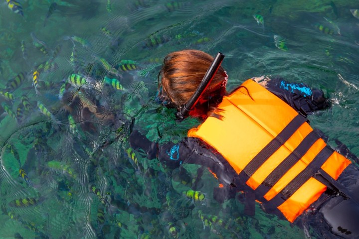 Person snorkeling in clear water with striped fish, wearing an orange life vest.