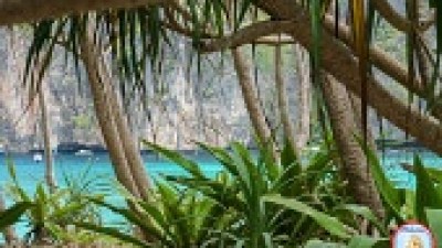 Lush greenery and tree framing a view of turquoise sea with cliffs in the background.