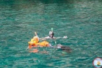 Two snorkelers in clear blue water, one in an orange life vest.