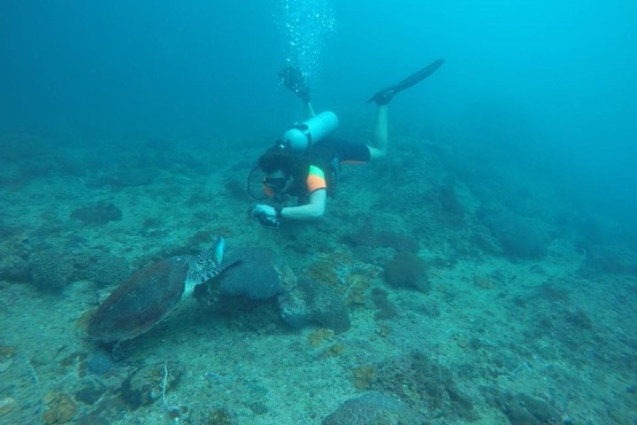 Scuba diver taking a photo of a sea turtle underwater.