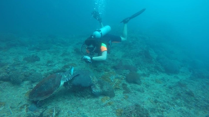 Scuba diver taking a photo of a sea turtle underwater.