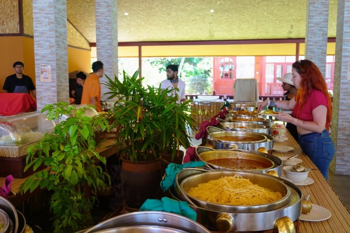 Buffet table with various dishes; people serving themselves, plants in foreground.
