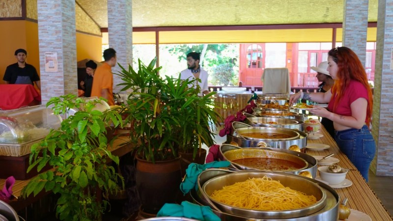 Buffet table with various dishes; people serving themselves, plants in foreground.