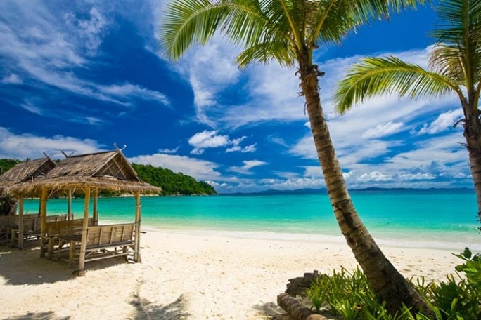 Tropical beach with palm trees, turquoise water, and blue sky.