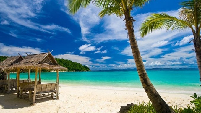 Tropical beach with palm trees, turquoise water, and blue sky.