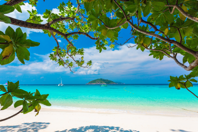 Tropical beach scene with turquoise water, sandy shore, and leafy branches framing the view.