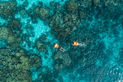 Two snorkelers in orange vests swimming above coral reefs in clear turquoise water.