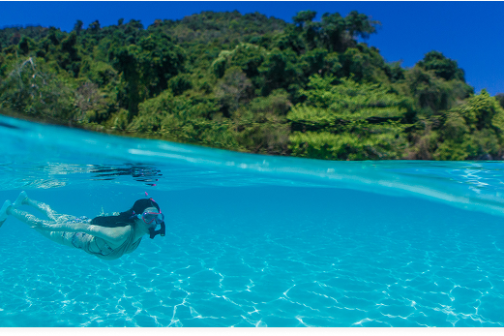 Person snorkeling in clear blue water near lush green island under blue sky.