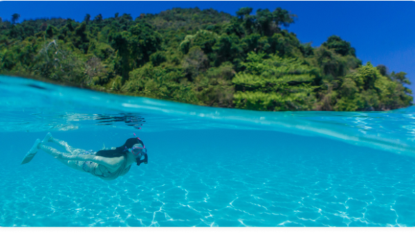 Person snorkeling in clear blue water near lush green island under blue sky.
