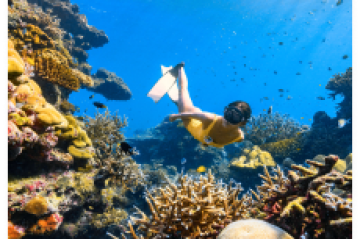 Person snorkeling over vibrant coral reef in clear blue water.