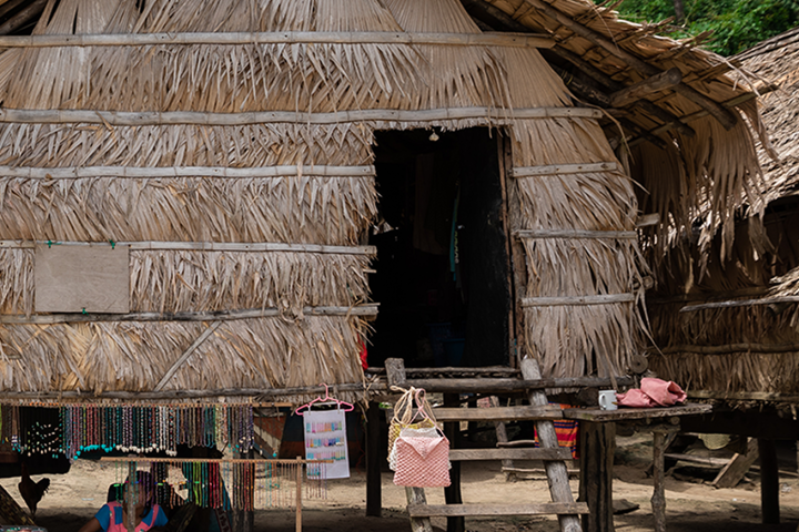 Traditional thatched hut with a wooden ladder; a market stall and a chicken are in front.