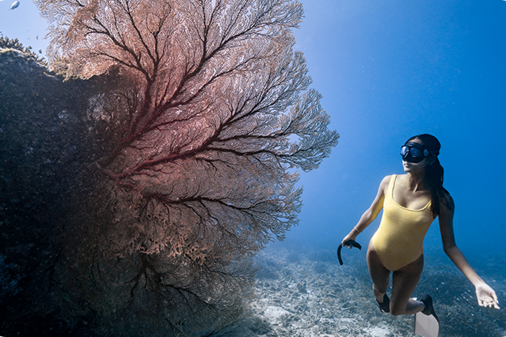 A snorkeler in a yellow swimsuit swims near large coral in clear blue water.