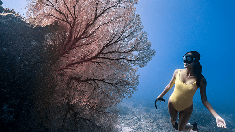 A snorkeler in a yellow swimsuit swims near large coral in clear blue water.